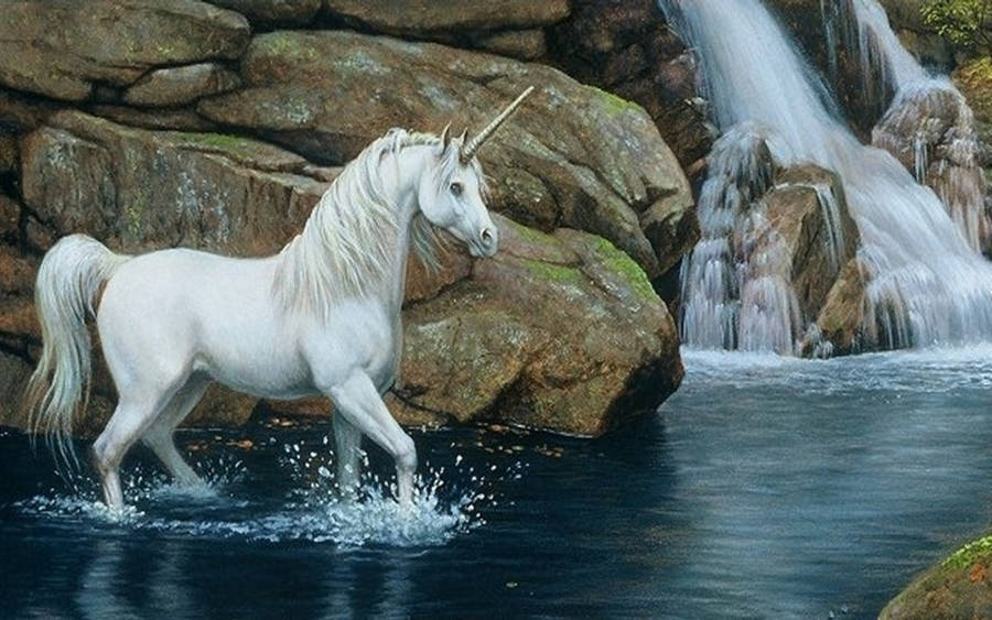 White Horse With Horn Wallpaper
