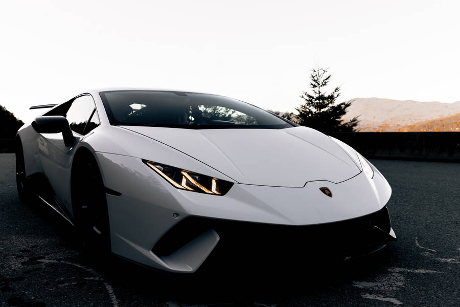 White Lamborghini Sports Car Wallpaper