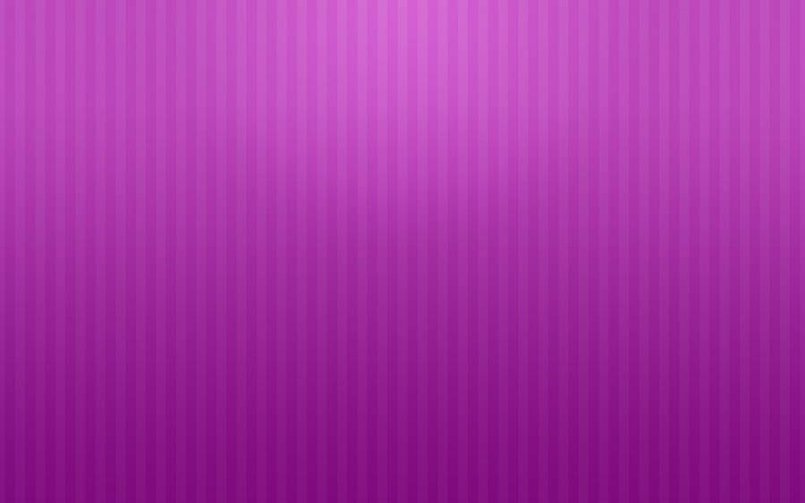 White Lines In Violet Plain Color Wallpaper