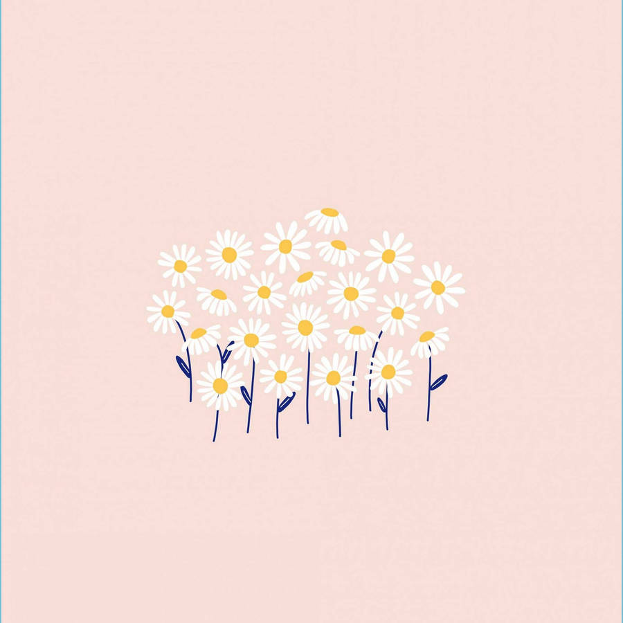 White Pastel With Daisies Wallpaper