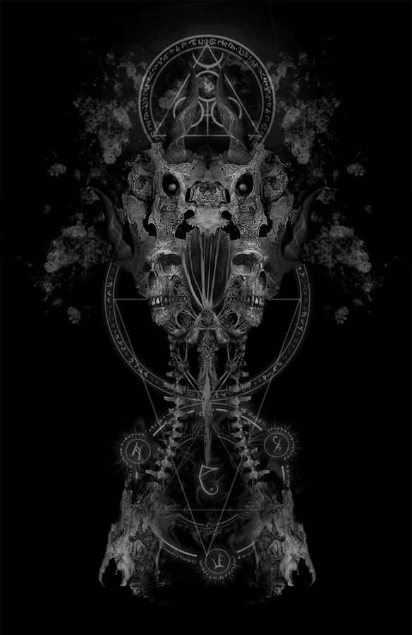 White Skull On Black Background Wallpaper