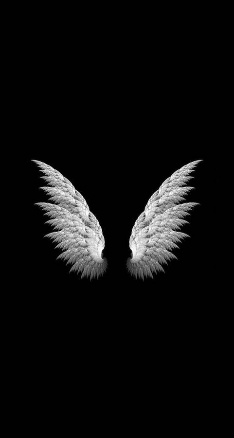 White Wings In Cool Black Background Wallpaper