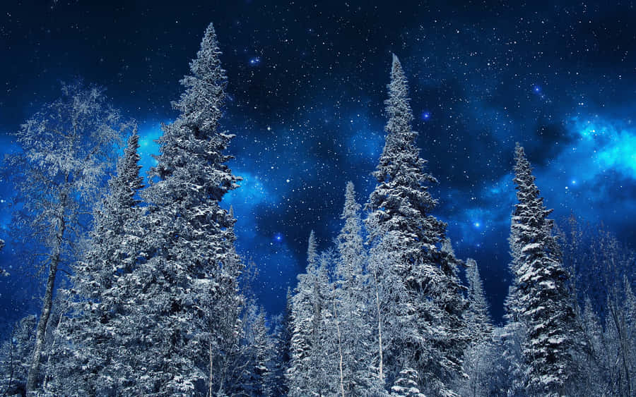 White Winter Wonderland Wallpaper