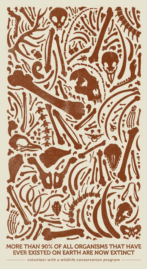 Wildlife Conservation: A Close Encounter With A Majestic Elephant Wallpaper