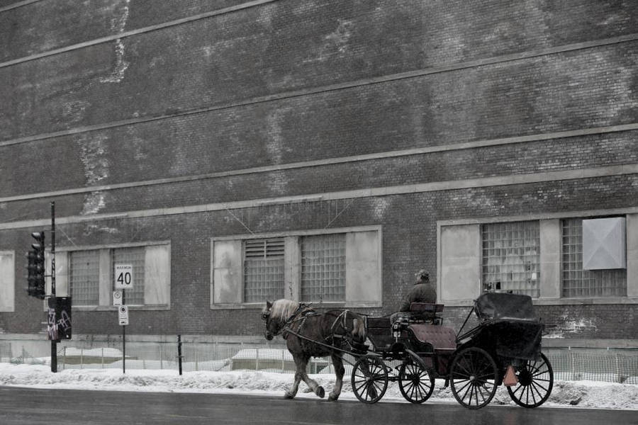 Windows Winter And Carriage Wallpaper