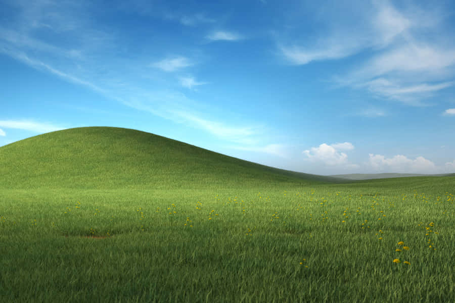 Windows X P Bliss Hills Wallpaper