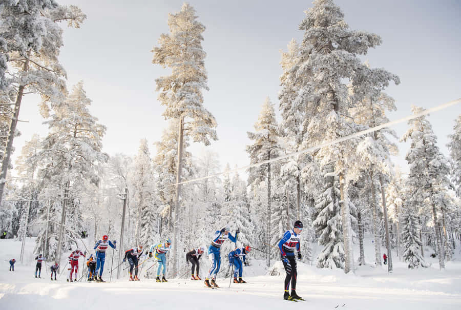 Winter Cross Country Skiing Competition Wallpaper