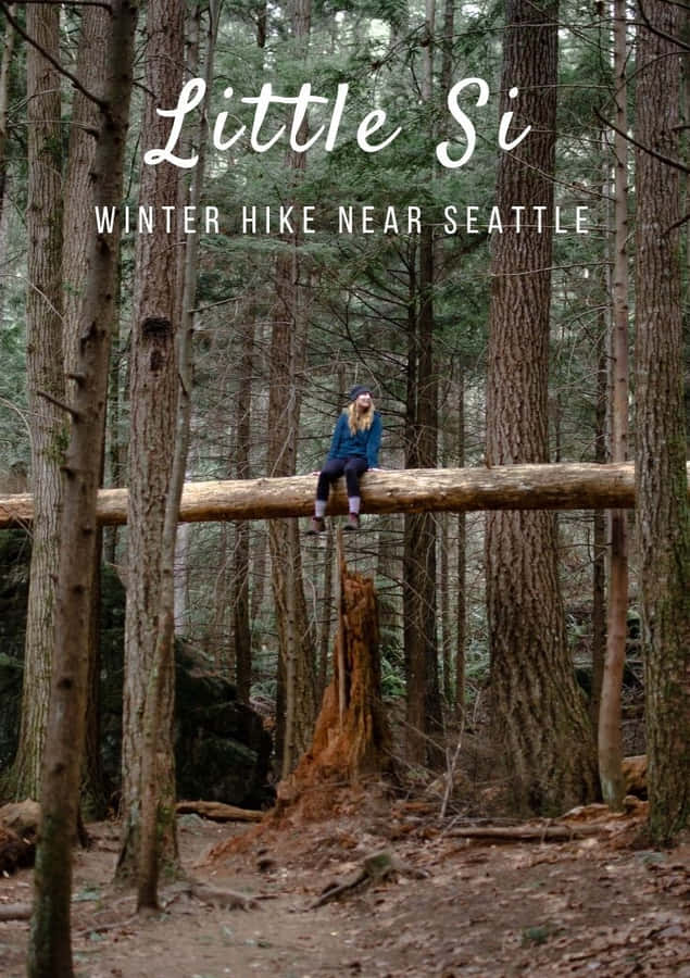 Winter Hiking Adventure In Snowy Mountains Wallpaper