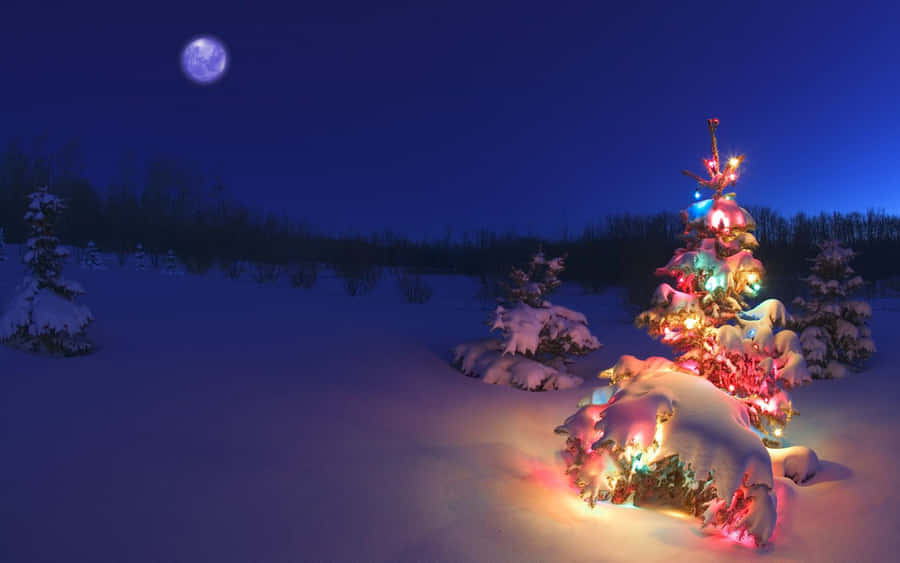 Winter Holiday Desktop With Colorful Christmas Tree Wallpaper