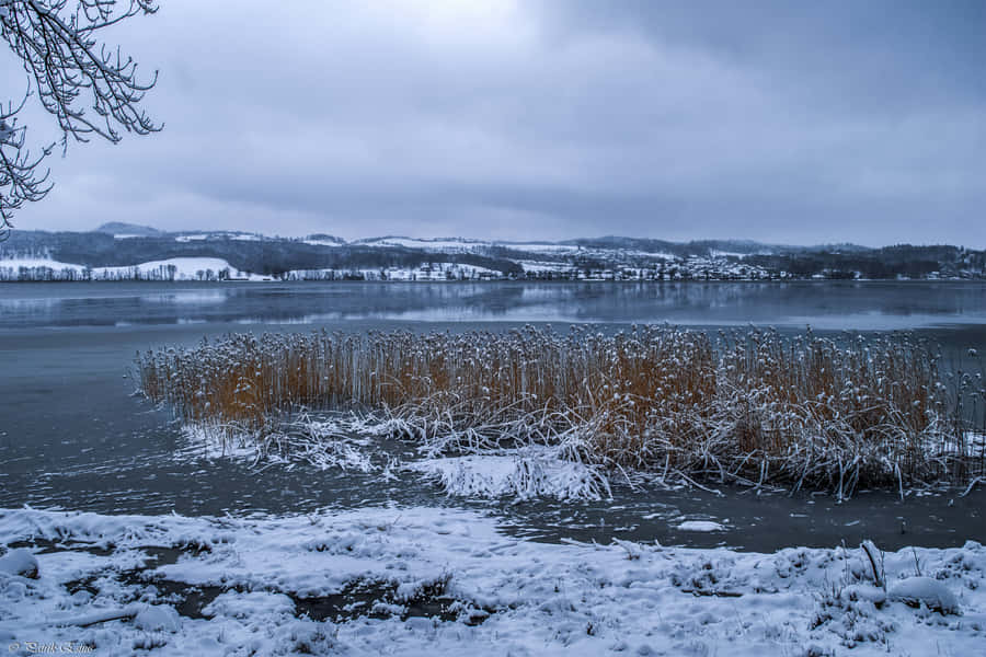 Winter Lake View Jonkoping Sweden Wallpaper