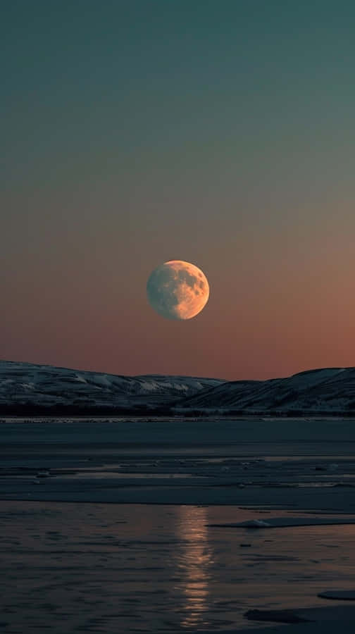 Winter_ Moonrise_ Over_ Frozen_ Landscape.jpg Wallpaper