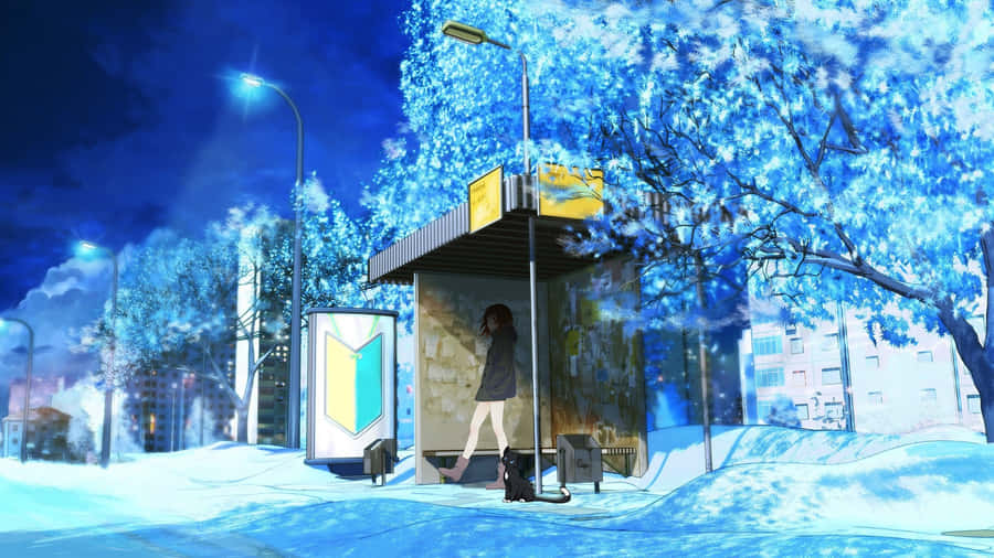 Winter Night Bus Stop Wallpaper