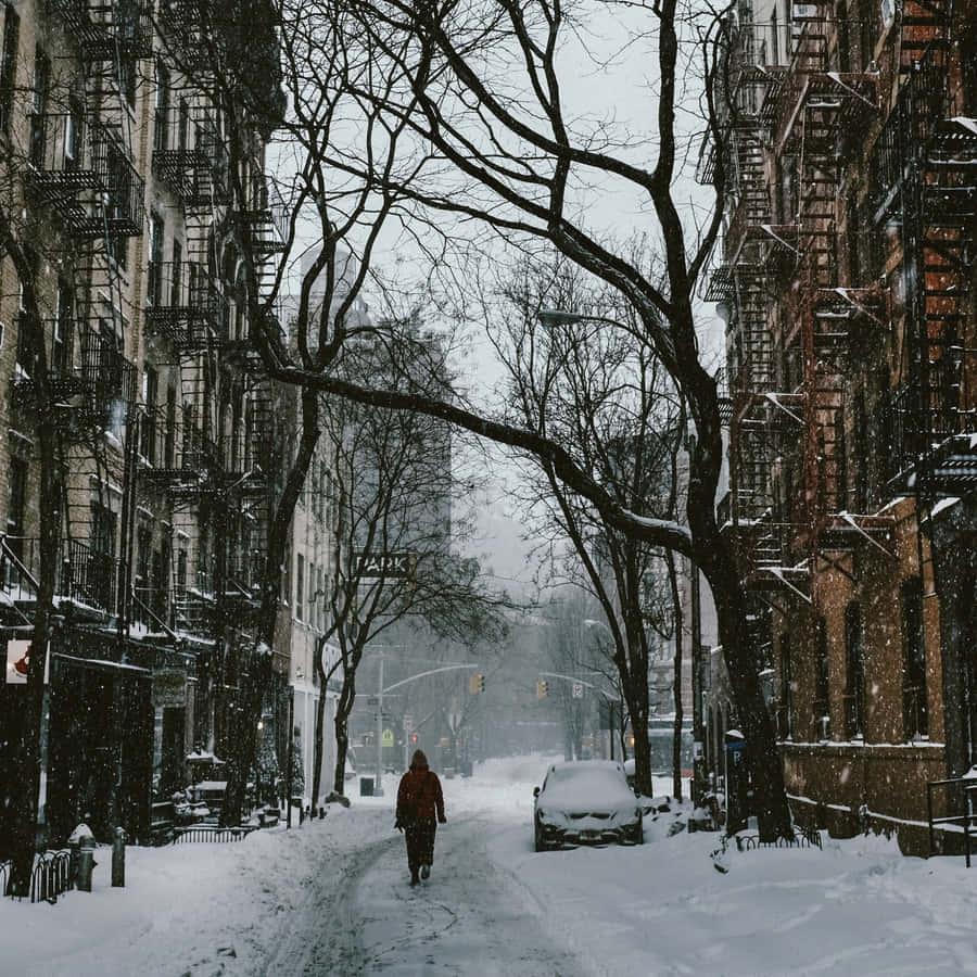 Winter_ Stroll_in_ Snowy_ City Wallpaper