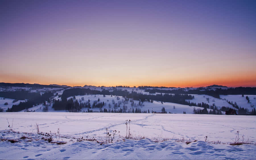 Winter Sunset Over Snow-covered Landscape Wallpaper