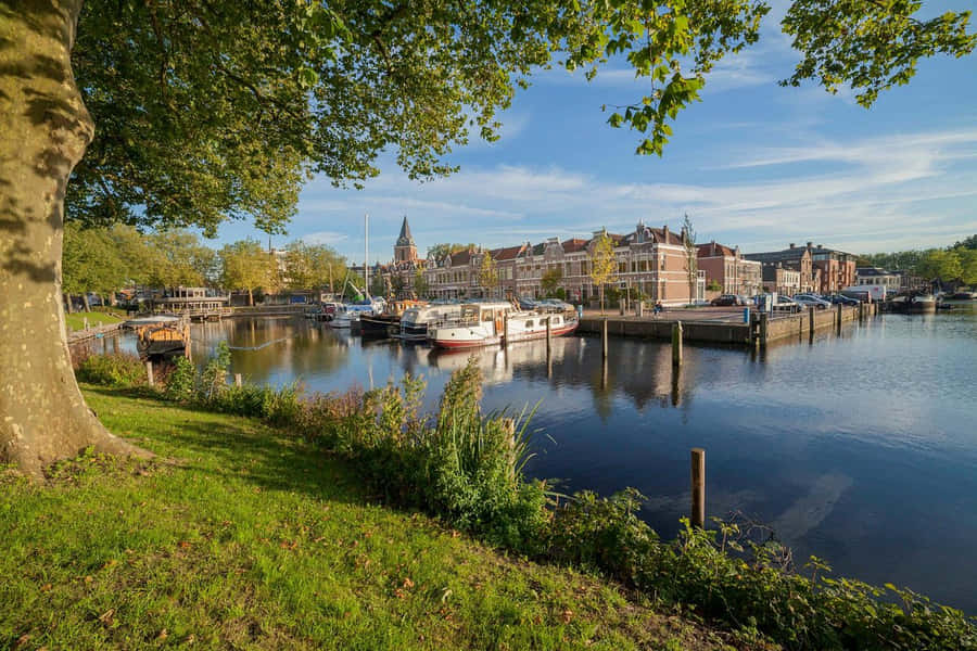 Woerden Harbor Sunny Day Wallpaper