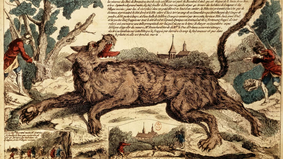 Wolf Attack In The Wild Wallpaper