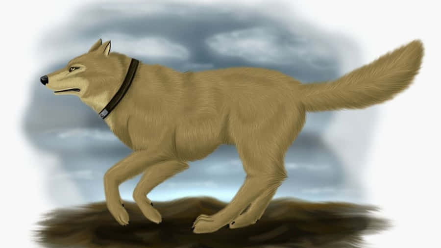 Wolf's Rain Hige Relaxing On The Grass Wallpaper