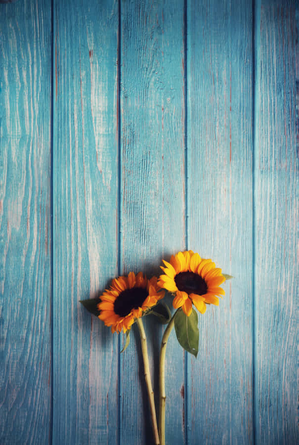 Wooden Table With Sunflower Phone Wallpaper