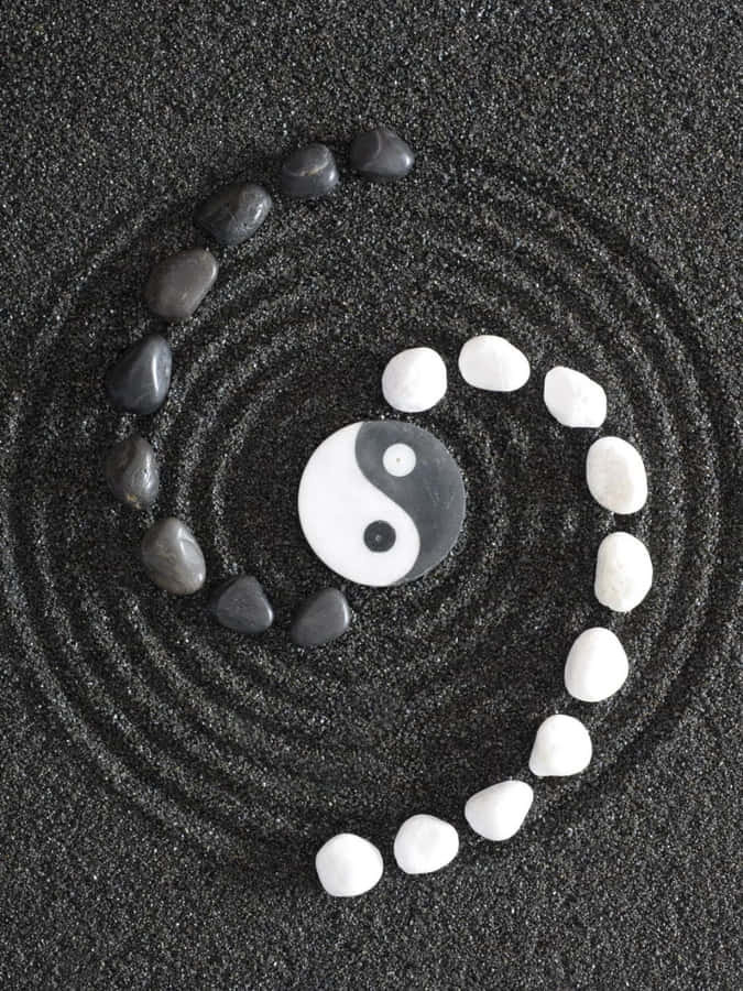 Woodland Trail In Early Autumn Wallpaper