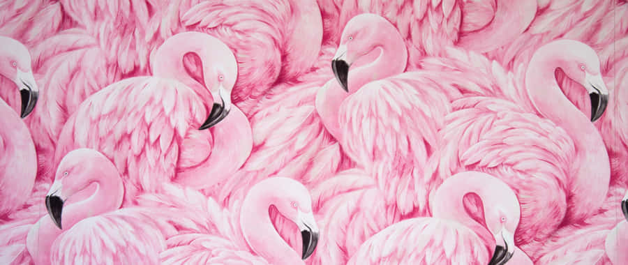 Work In $tyle With Flamingo Laptop Wallpaper