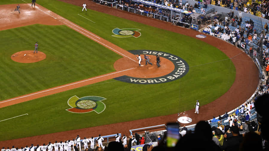 World Baseball Classic Wallpaper