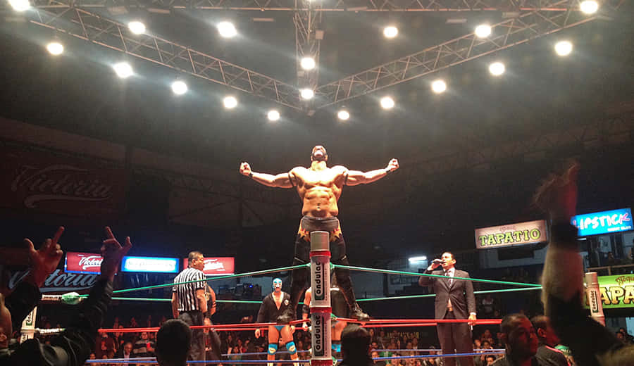 Wrestler Victory Posein Ring Wallpaper