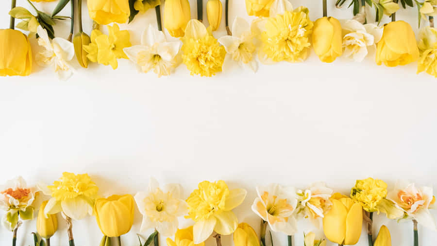Yellow Floral Border Wallpaper