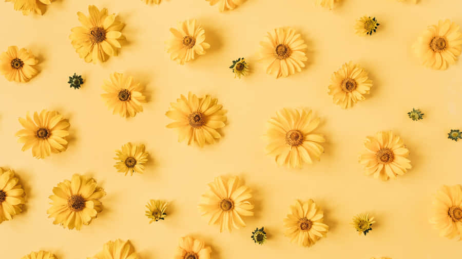 Yellow Floral Pattern Wallpaper
