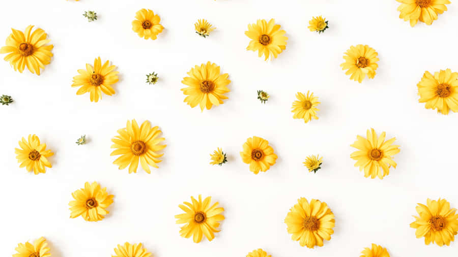 Yellow Floral Pattern Wallpaper