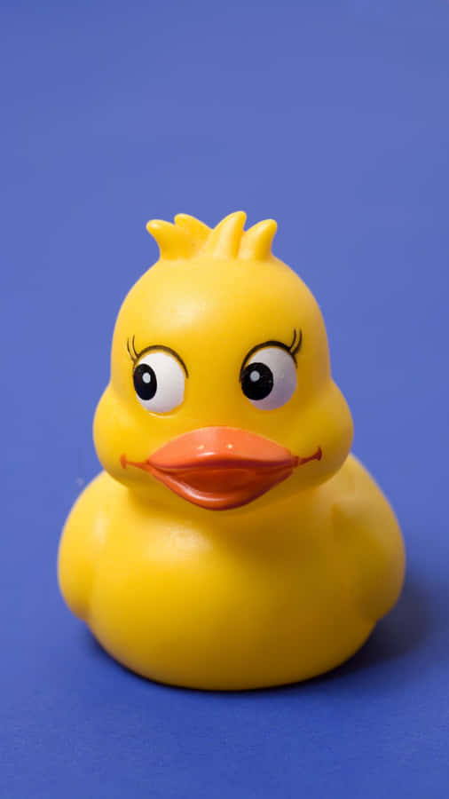 Yellow Rubber Duck Blue Background.jpg Wallpaper