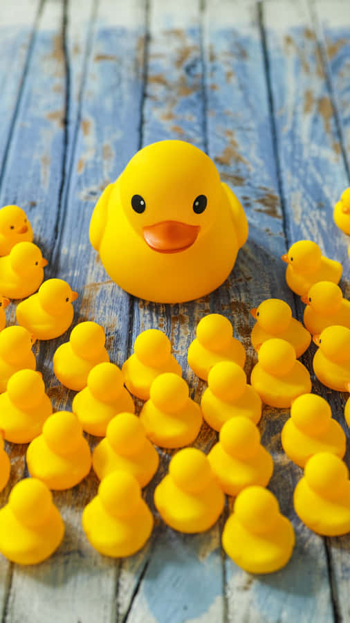 Yellow Rubber Duck Flockon Blue Wooden Background.jpg Wallpaper