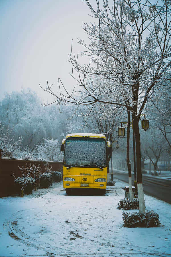 Yellow School Bus Parked By The Sidewalk Wallpaper
