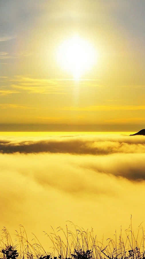 Yellow Sky 1080 X 1920 Wallpaper Wallpaper