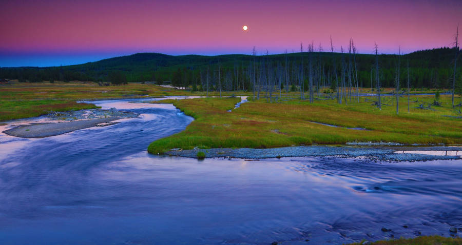 Yellowstone National Park Madison River Wallpaper