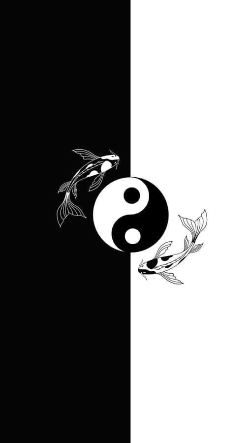Yin Yang Fish Harmonizing Life Wallpaper