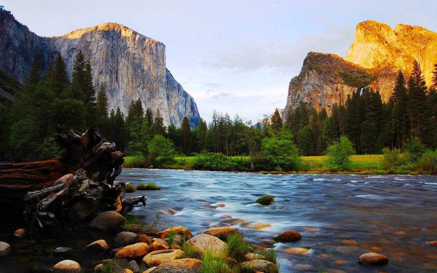 Yosemite National Park Golden Sun Wallpaper