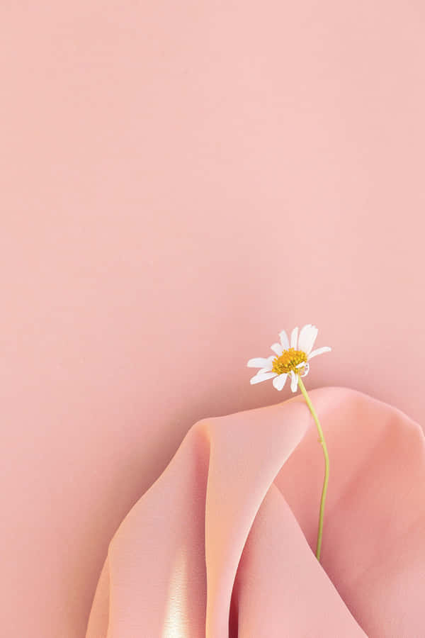 Young Man Relaxing Under A Tree In City Park Wallpaper
