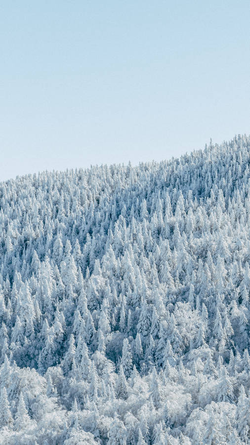 Young Woman At Sunrise Wallpaper