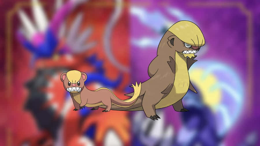 Yungoos And Gumshoos Wallpaper