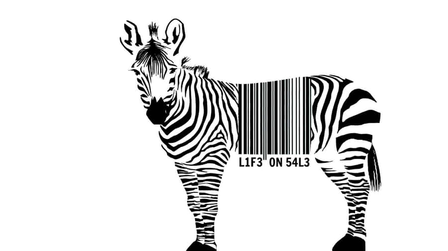 Zebra With Barcode Digital Art Wallpaper