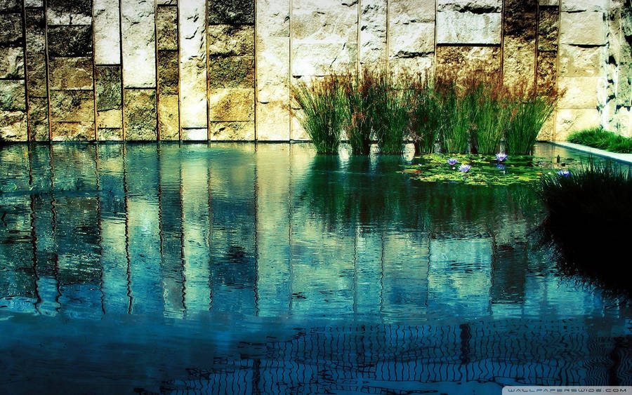 Zen Elegant Pool Wallpaper