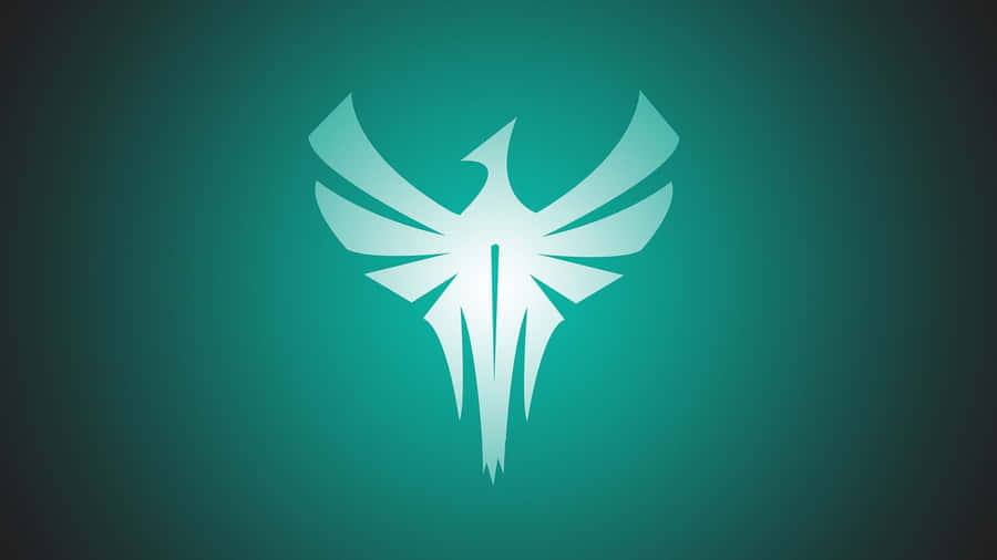 Zofia R6 In Action Wallpaper