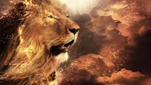 1920x1080 4k Lion In Sky Wallpaper