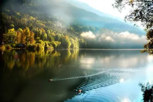 1920x1080 Full Hd Nature Trees Lake And Mountains Wallpaper