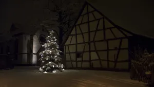 1920x1080 Hd Christmas Tree Wallpaper