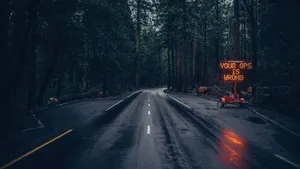 1920x1080 Hd Relaxing Rainforest Road Wallpaper