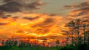 2048x1152 Aesthetic Trees In Orange Sunset Sky Wallpaper