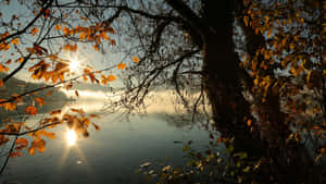 2560 X 1440 Autumn Sunrise Wallpaper