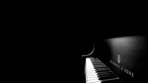 2560x1440 Black Classic Piano Wallpaper