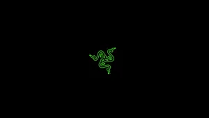 2560x1440 Gaming Razer Green Logo Wallpaper